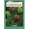 g.j.b.: coniferas