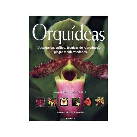 Orquideas
