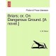 Briars Or, on Dangerous Ground. [A Novel.]