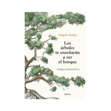 Los Arboles te Enseñaran a ver el Bosque