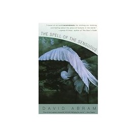 The Spell of the Sensuous: Perception and Language in a More