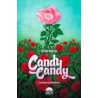 Candy Candy: La historia definitivo