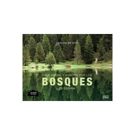 Viaje Visual y Sonoro por los Bosques de España