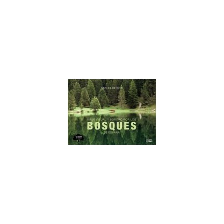 Viaje Visual y Sonoro por los Bosques de España
