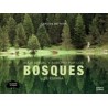 Viaje Visual y Sonoro por los Bosques de España