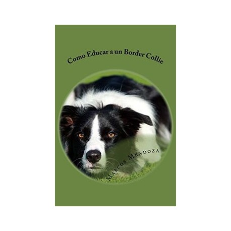 Como Educar a un Border Collie