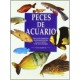 Peces de Acuario. (Gran Formato) (Guias del Naturalista