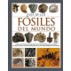 Guia de los Fosiles del Mundo