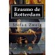 Erasmo de Rotterdam: Triunfo y Tragedia de un Humanista