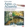 Cómo Pintar Agua a la Acuarela