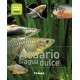 acuario de agua dulce