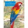 Guacamayos. Una Guía Completa