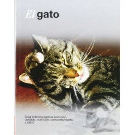 El Gato