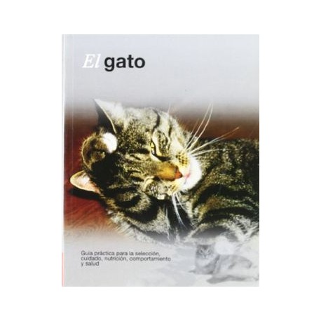 El Gato