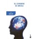 El Cerebro de Broca