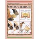 Cascos y Herrajes