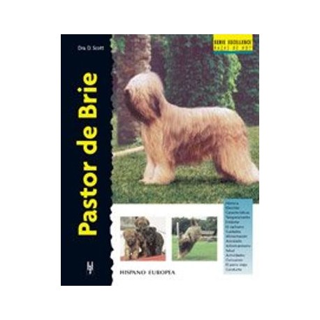 Pastor de Brie (Excellence)