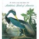 Audubon's Birds of America: The National Audubon Society Baby Elephant Folio (Tiny Folio) (libro en Inglés)