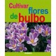 Cultivar Flores de Bulbo