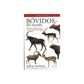 Bovidos del Mundo