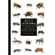 Bees of the World: A Guide to Every Family (a Guide to Every Family, 5) (libro en Inglés)