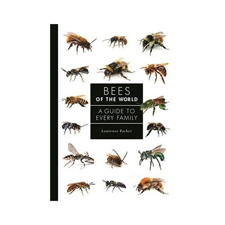 Bees of the World: A Guide to Every Family (a Guide to Every Family, 5) (libro en Inglés)