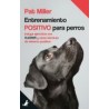 Entrenamiento Positivo Para Perros