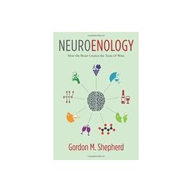 Neuroenology: How the Brain Creates the Taste of Wine (libro en Inglés)