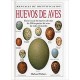 Huevos de Aves. Manual de Identificacion