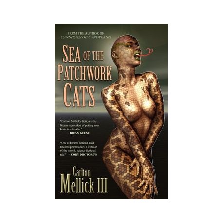 Sea of the Patchwork Cats (libro en inglés)