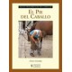el pie del caballo