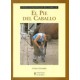 el pie del caballo