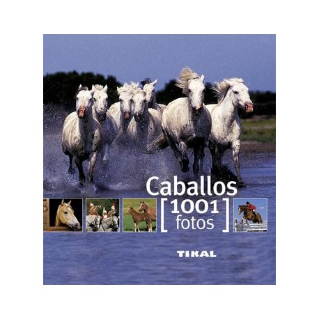 Caballos 1001 Fotos