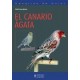 El Canario Ágata (Canarios de Color)