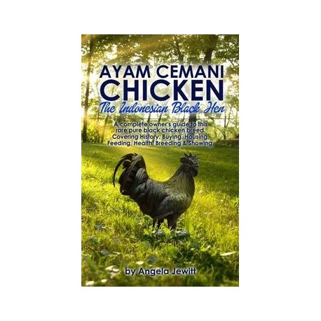 Ayam Cemani Chicken