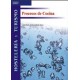 Procesos Cocina (nuevo)