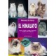 Manuales de Gatos: El Himalayo