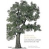 La Historia de los Árboles y de Cómo han Cambiado Nuestra Forma de Vida